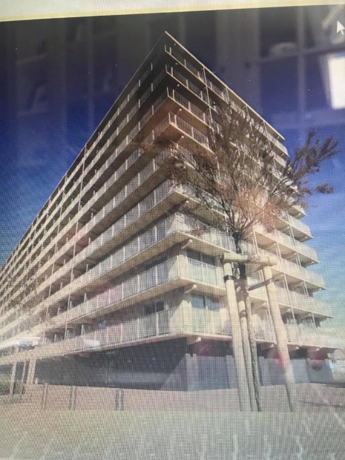 Work Or Holiday Nieuw Studio Santhooft Nieuwpoort Exterior foto